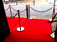 VIP passage with barriers and red carpet.