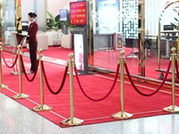 Formal presentation in the hall. Barriers with ropes on the red carpet.