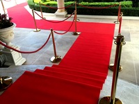 Curtains with stripes and a red carpet. Paved path.