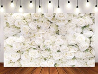 Baltų rožių siena su apšvietimu, fotografavimui ir fotosesijoms